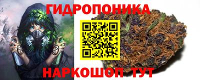 тгк Краснодар