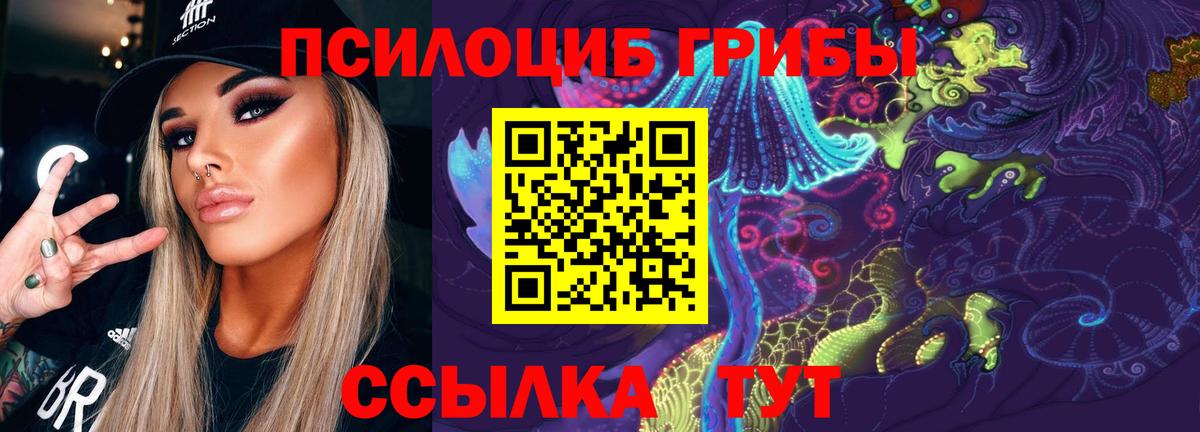 Псилоцибиновые грибы мухоморы  Вход с VPN  Псилоцибиновые грибы мухоморы  где найти наркотики  Кольчугино 